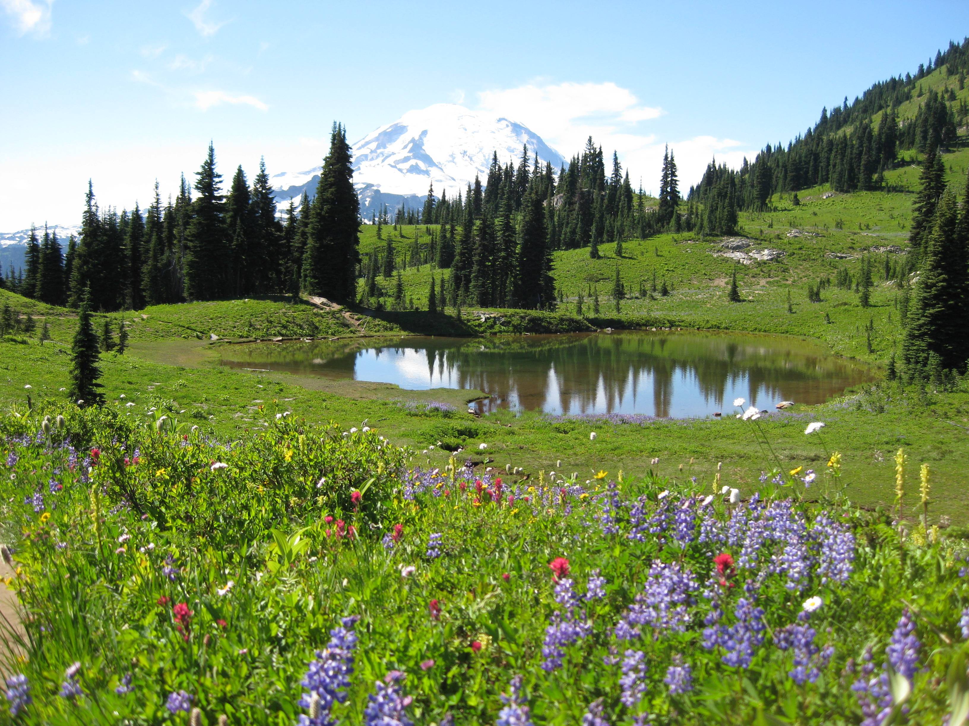 Mount Rainier NP